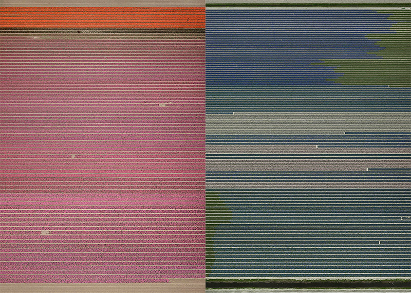 تعدادی از آثار 