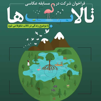 زندگی در تالاب شکوفا می‌شود