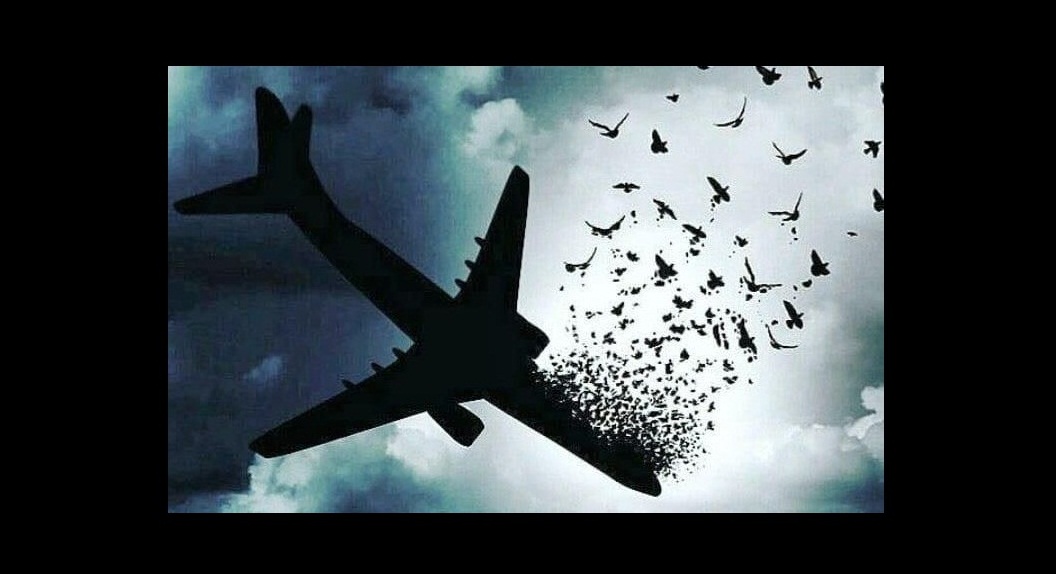 در حلقه رندان در دی ماه برگزار نمی‌شود