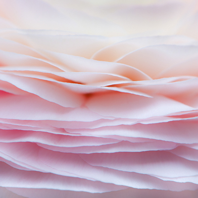 فراخوان عکاسی مسابقه عکاسی close up