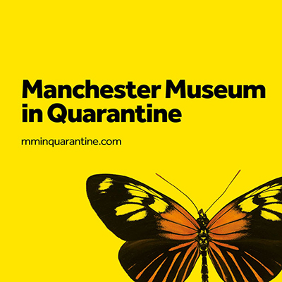 طراحی یک نرم افزار موبایلی جذاب توسط موزه منچستر